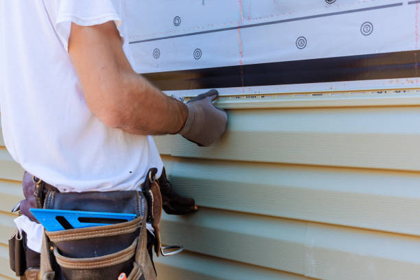 Affordable Siding Repair and Maintenance Services in Rohnert Park, CA